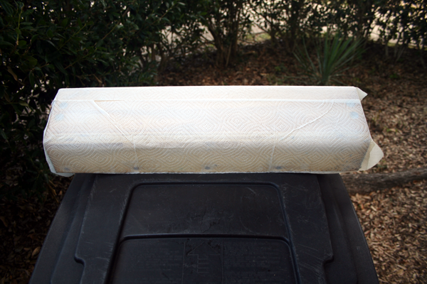 Cover CP with paper towels